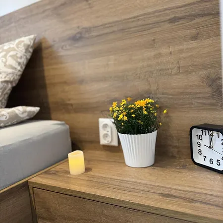 Apartment Woodland *